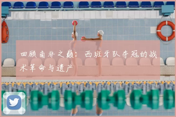 回顾南非之巅：西班牙队夺冠的战术革命与遗产