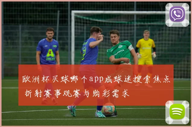 欧洲杯买球哪个app成球迷搜索焦点 折射赛事观赛与购彩需求