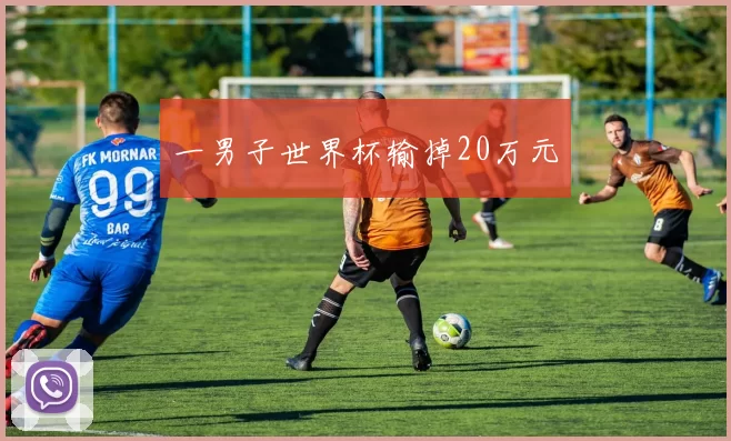 一男子世界杯输掉20万元
