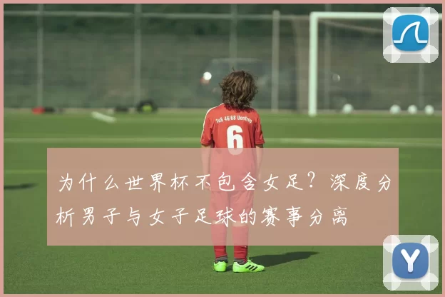 为什么世界杯不包含女足？深度分析男子与女子足球的赛事分离