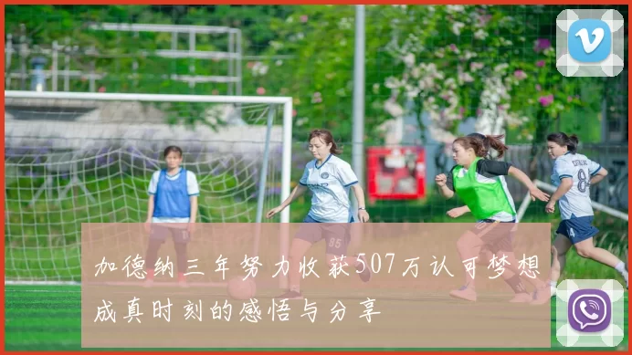 加德纳三年努力收获507万认可梦想成真时刻的感悟与分享