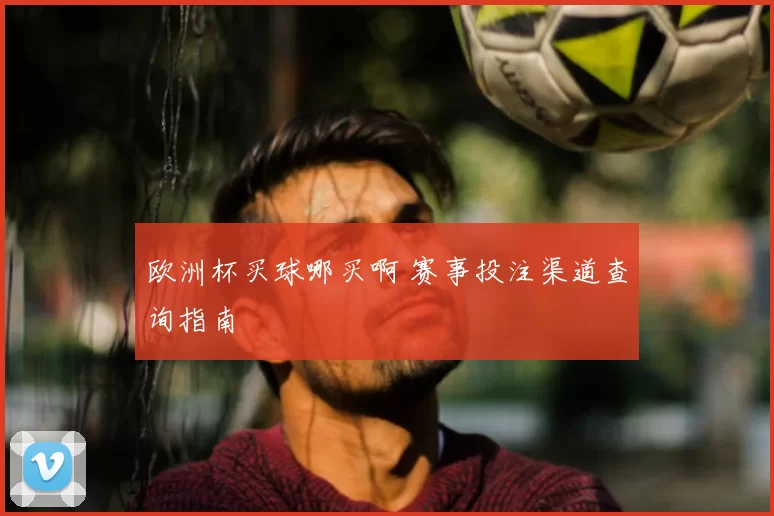 欧洲杯买球哪买啊 赛事投注渠道查询指南
