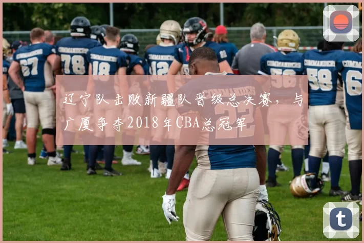 辽宁队击败新疆队晋级总决赛，与广厦争夺2018年CBA总冠军
