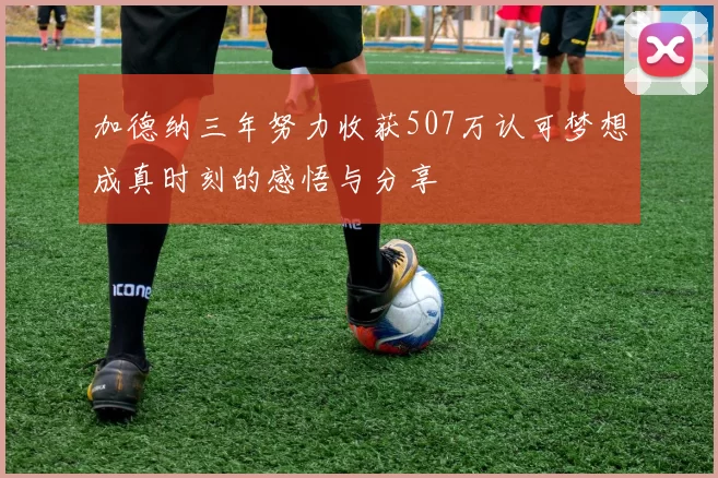 加德纳三年努力收获507万认可梦想成真时刻的感悟与分享